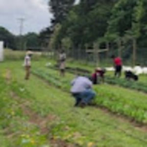 Meet your Posher, Rufus